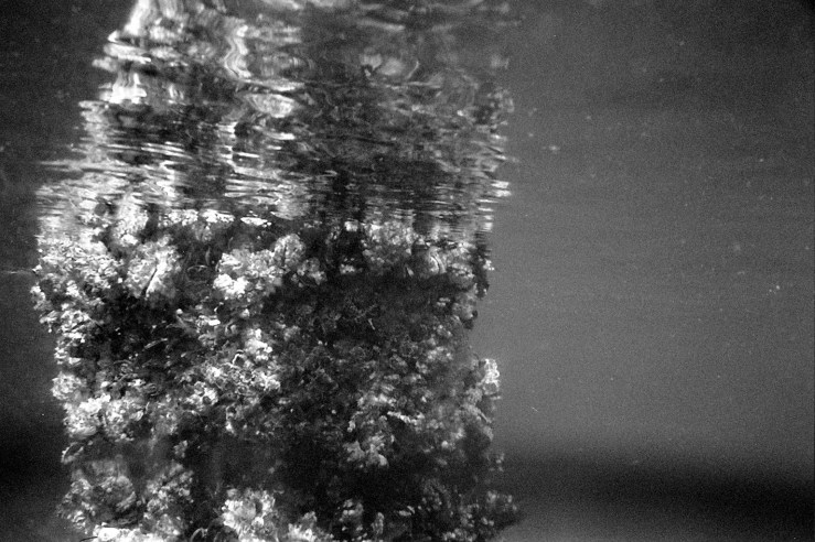 copyright warofnature.com