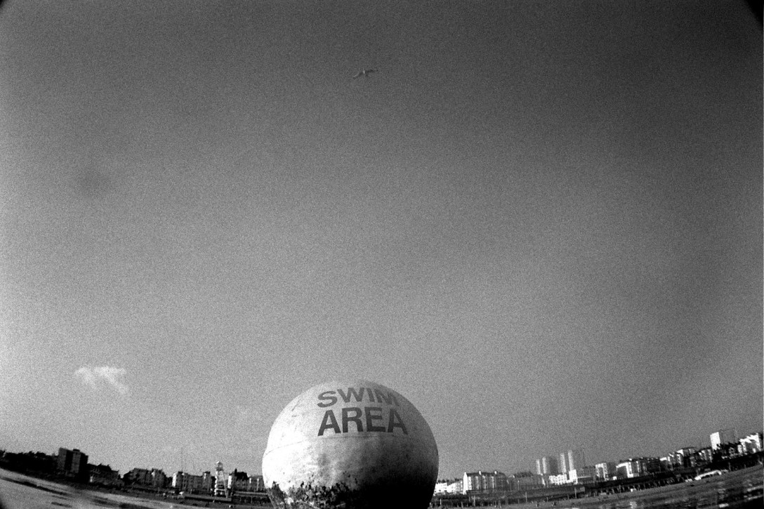 copyright warofnature.com