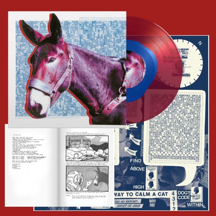 protomartyr record donkey